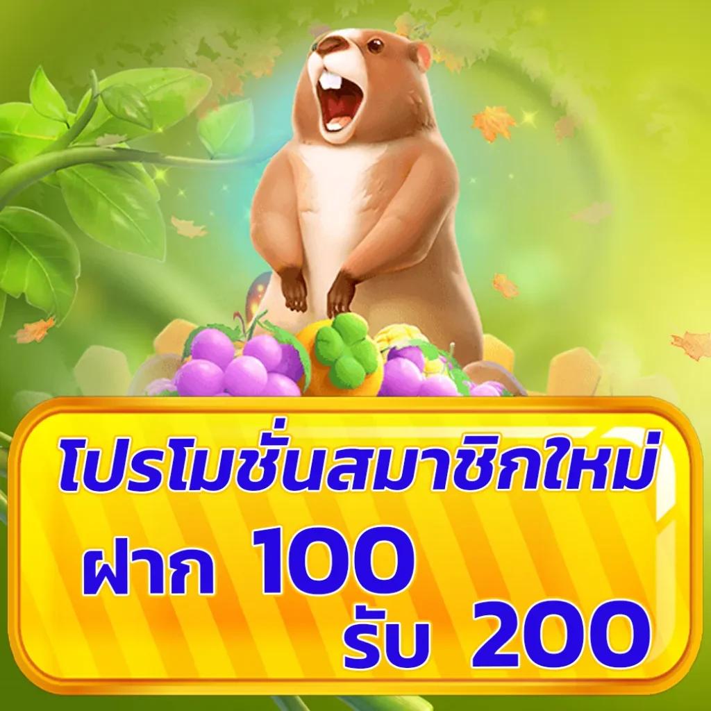 356สล็อต เว็บตรง สล็อต ฝากถอนออโต้ ไม่ผ่านเอเย่นต์ 2026